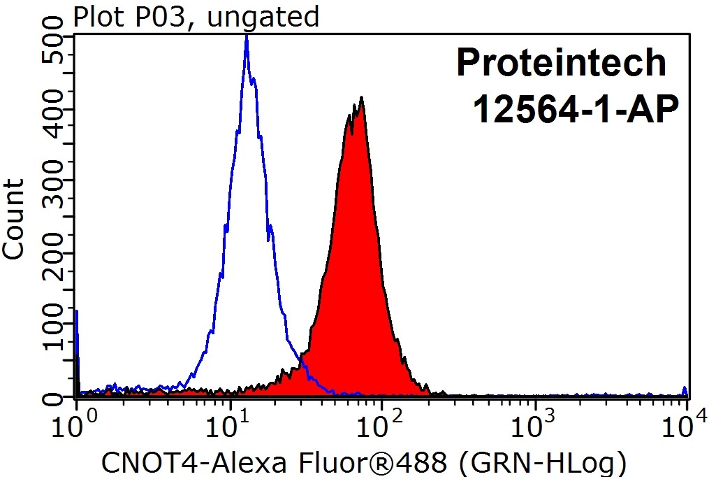 CNOT4 Polyclonal antibody
