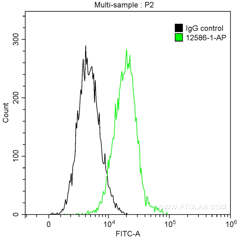 SAMHD1 Polyclonal antibody