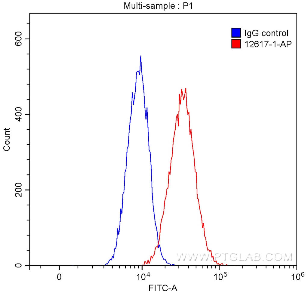 GNAI1 Polyclonal antibody