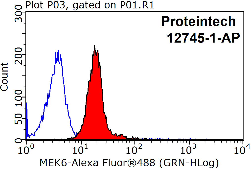 MEK6 Polyclonal antibody