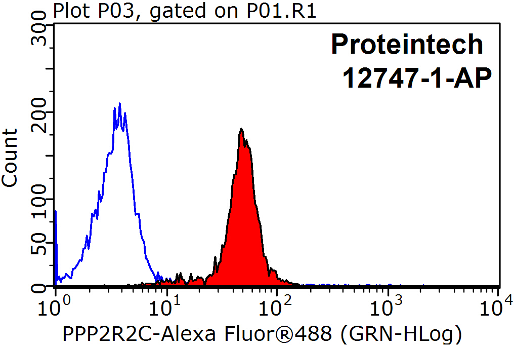 PPP2R2C Polyclonal antibody