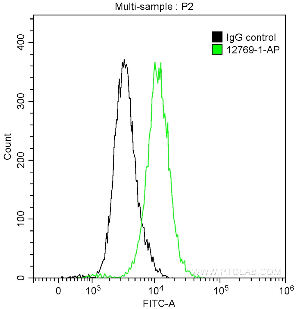IFITM2 Polyclonal antibody