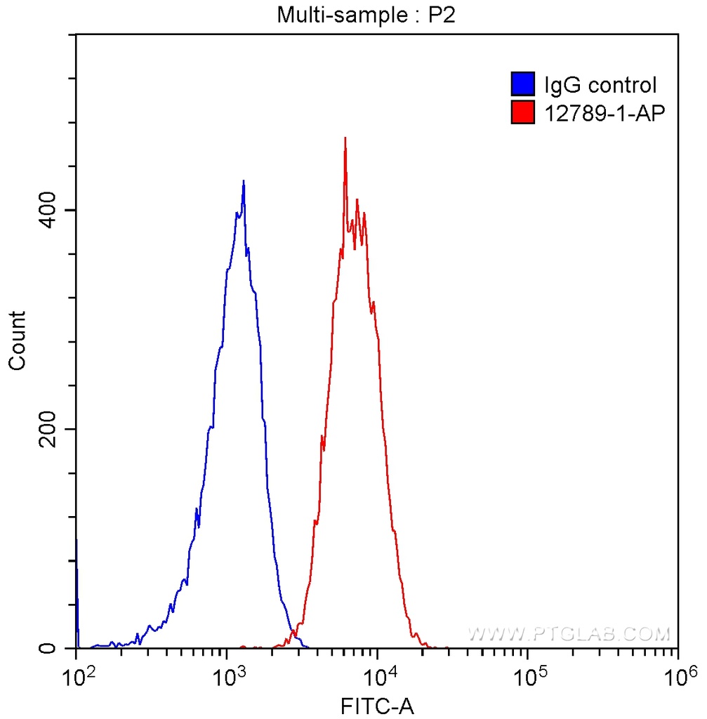 BCL2 Polyclonal antibody