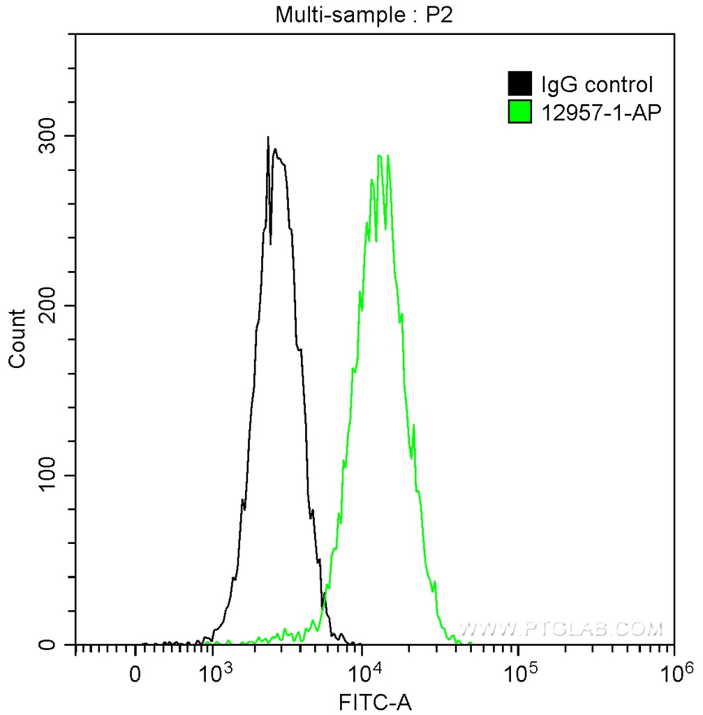 DRP1 (C-terminal) Polyclonal antibody