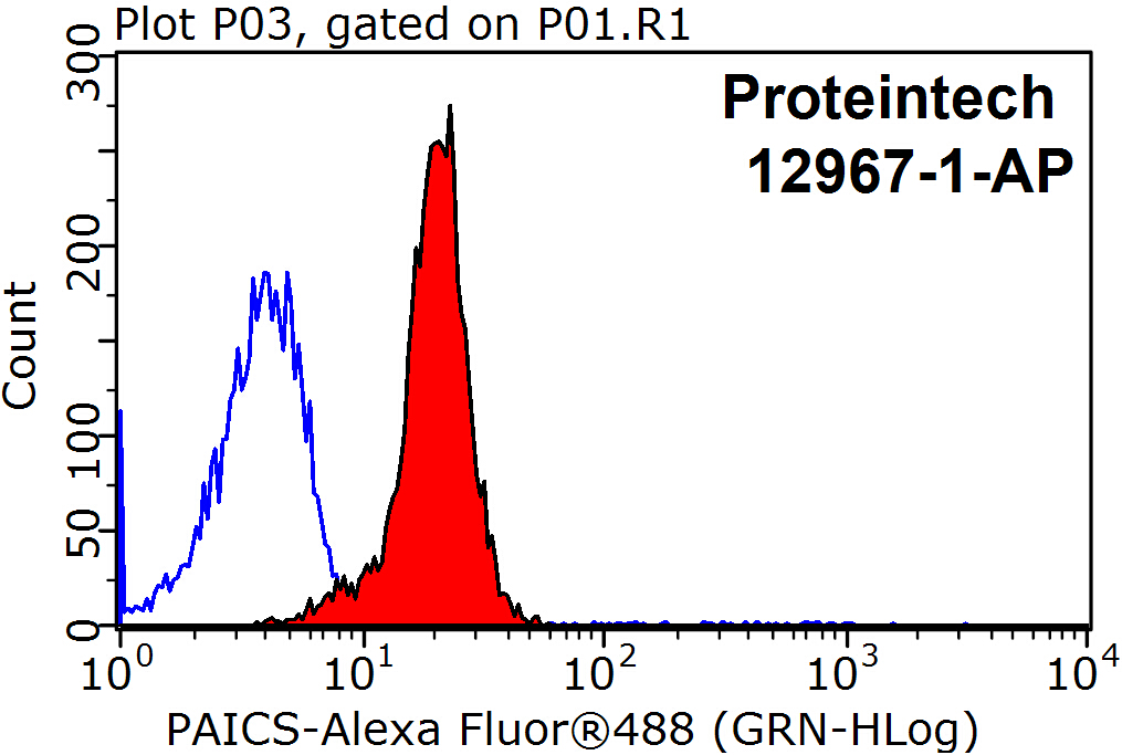 PAICS Polyclonal antibody