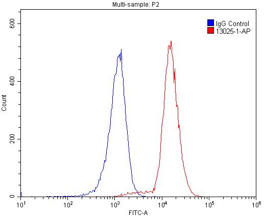 L-Plastin Polyclonal antibody