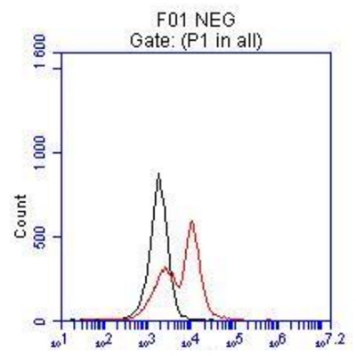 MITF Polyclonal antibody
