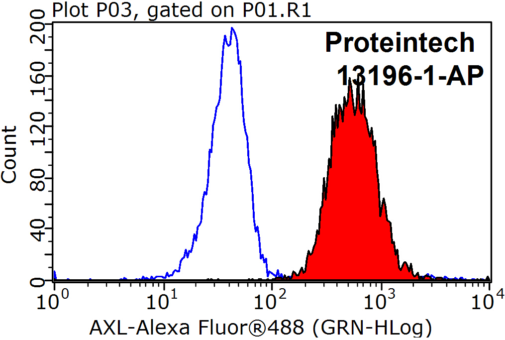 AXL Polyclonal antibody
