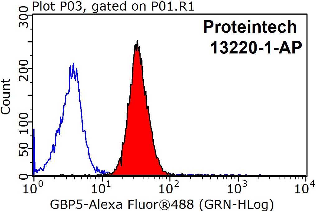 GBP5 Polyclonal antibody