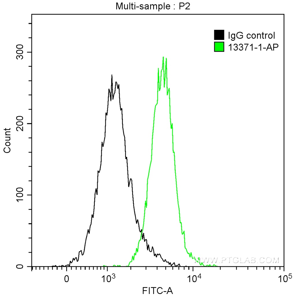 PARP1 Polyclonal antibody
