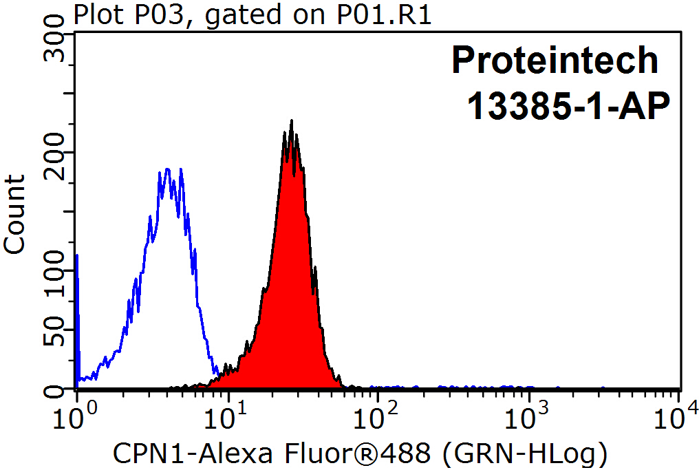 CPN1 Polyclonal antibody