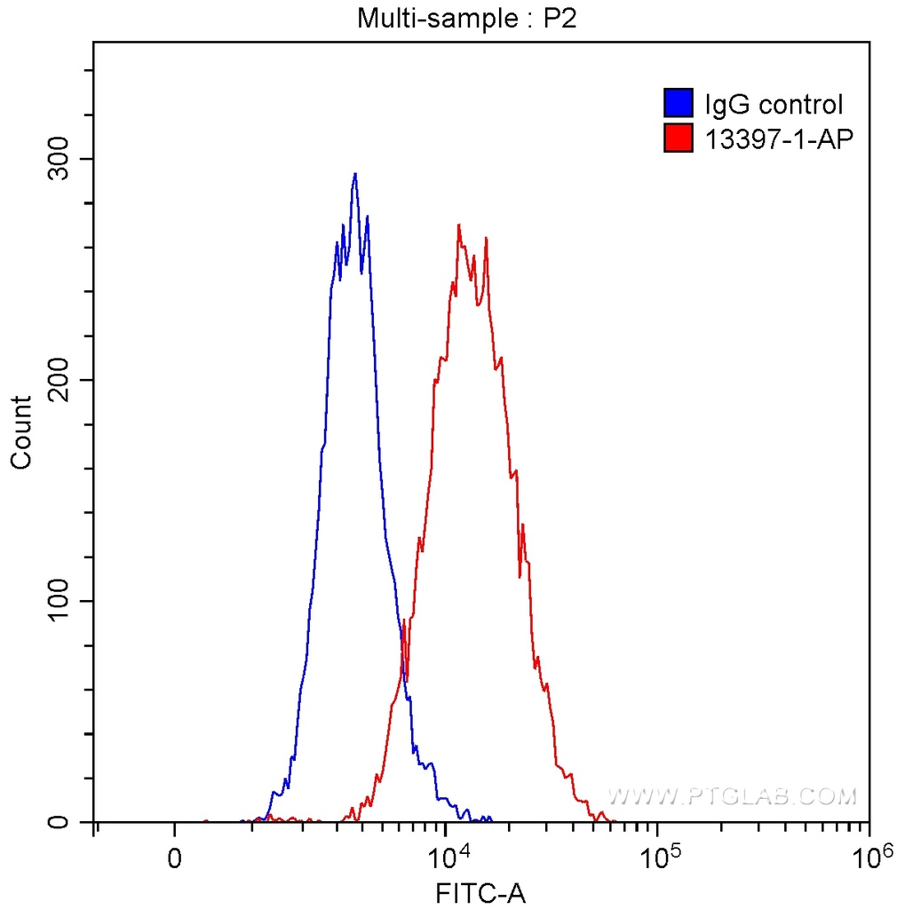 MIP-3 Beta Polyclonal antibody