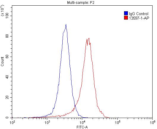 GRIK2 Polyclonal antibody