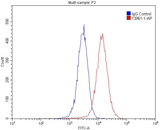 PPFIBP1 Polyclonal antibody