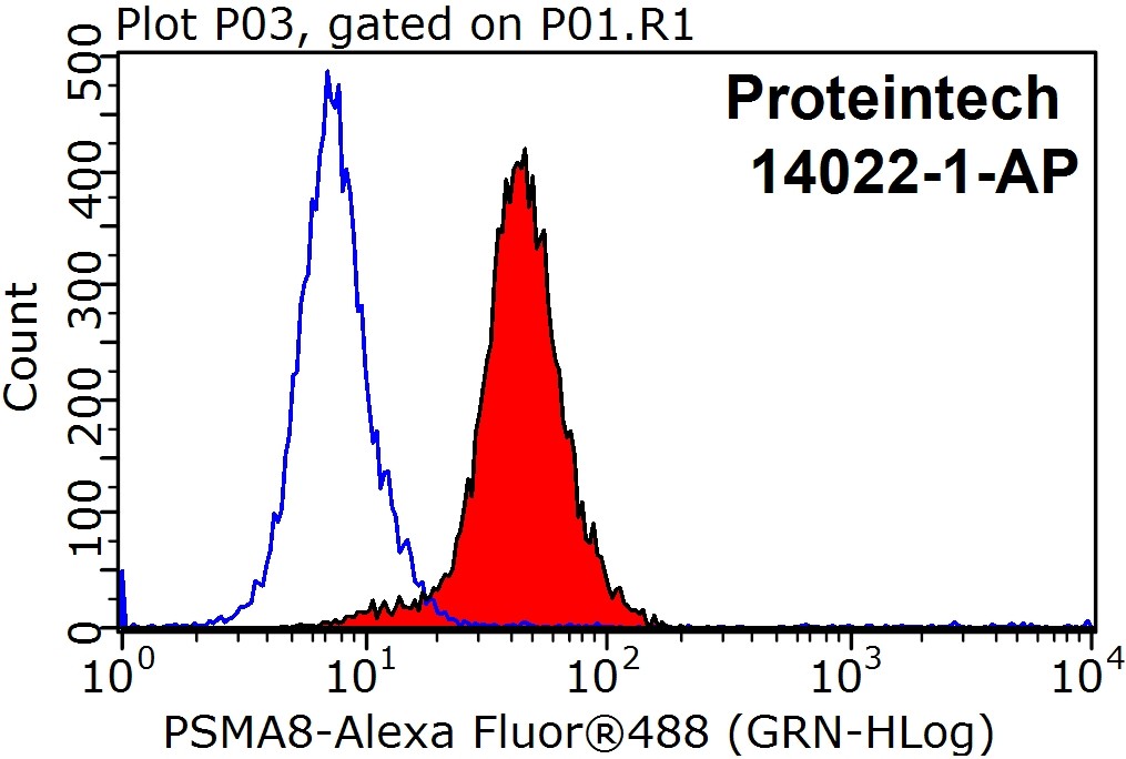 PSMA8 Polyclonal antibody