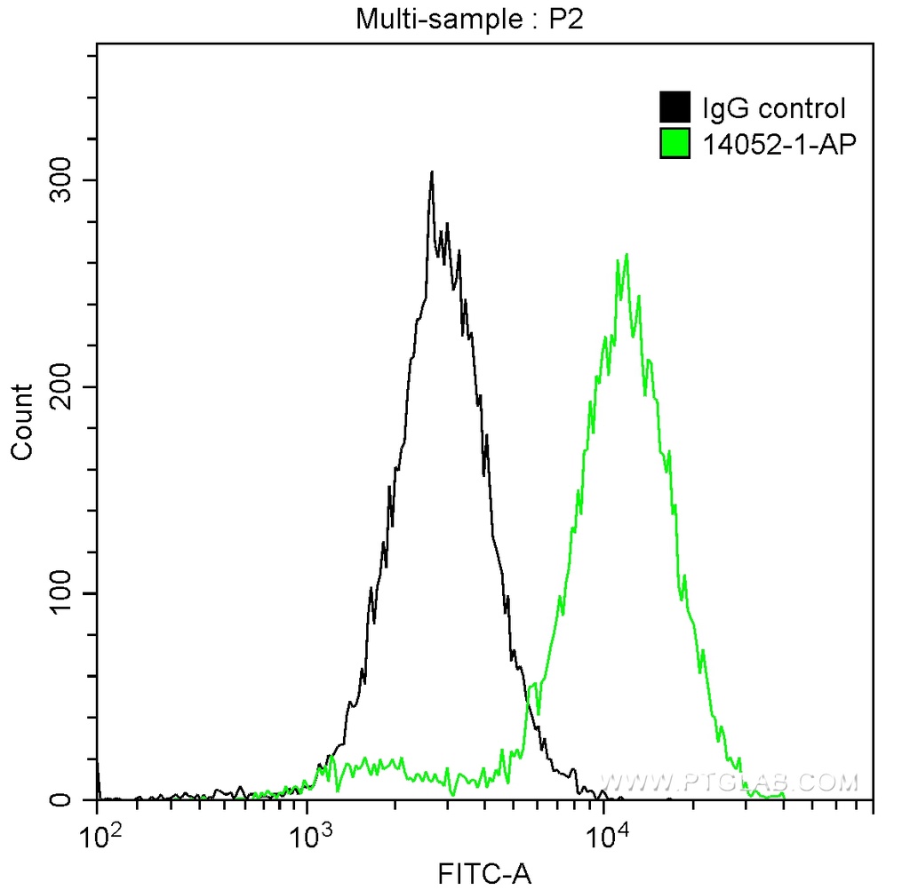 CDK6 Polyclonal antibody