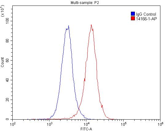 PTH2R Polyclonal antibody