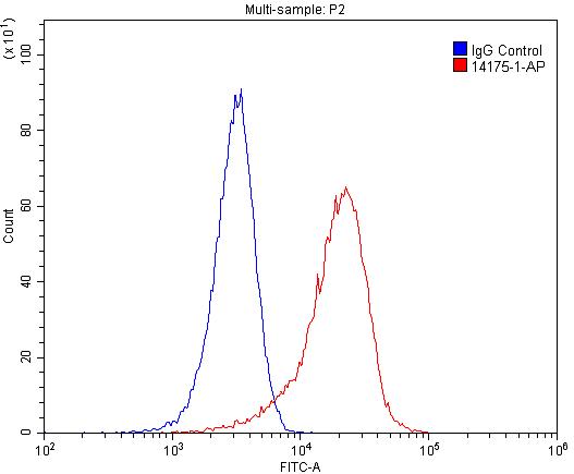 Liprin Alpha 1 Polyclonal antibody