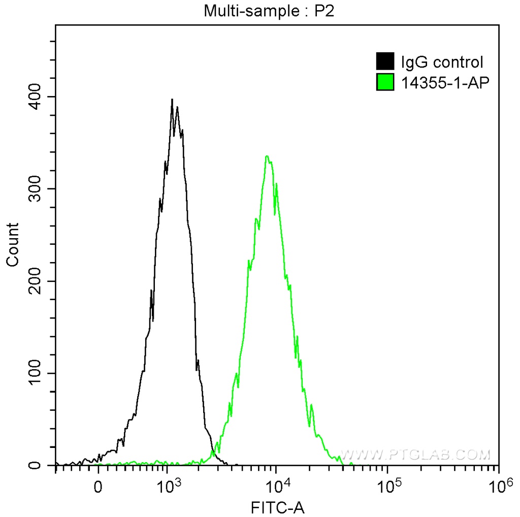 ST6GAL1 Polyclonal antibody
