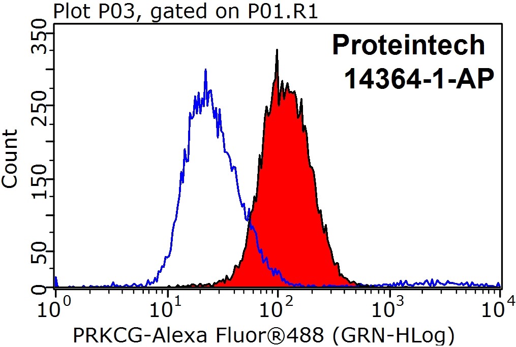 PKC Gamma Polyclonal antibody