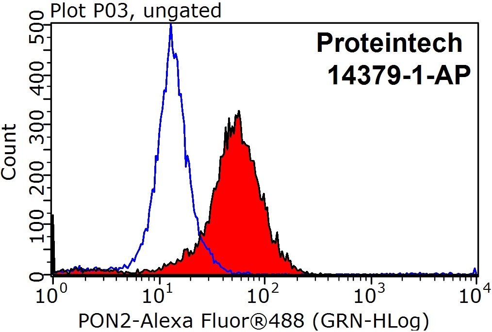 PON2 Polyclonal antibody