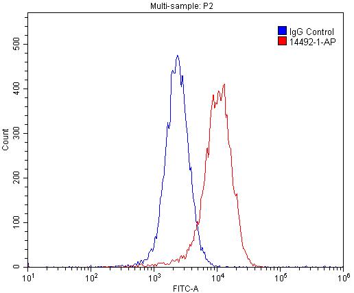 HBXIP Polyclonal antibody
