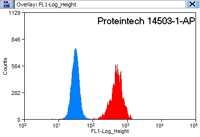 14-3-3 Polyclonal antibody
