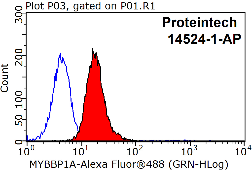 MYBBP1A Polyclonal antibody
