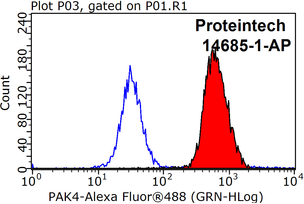 PAK4 Polyclonal antibody