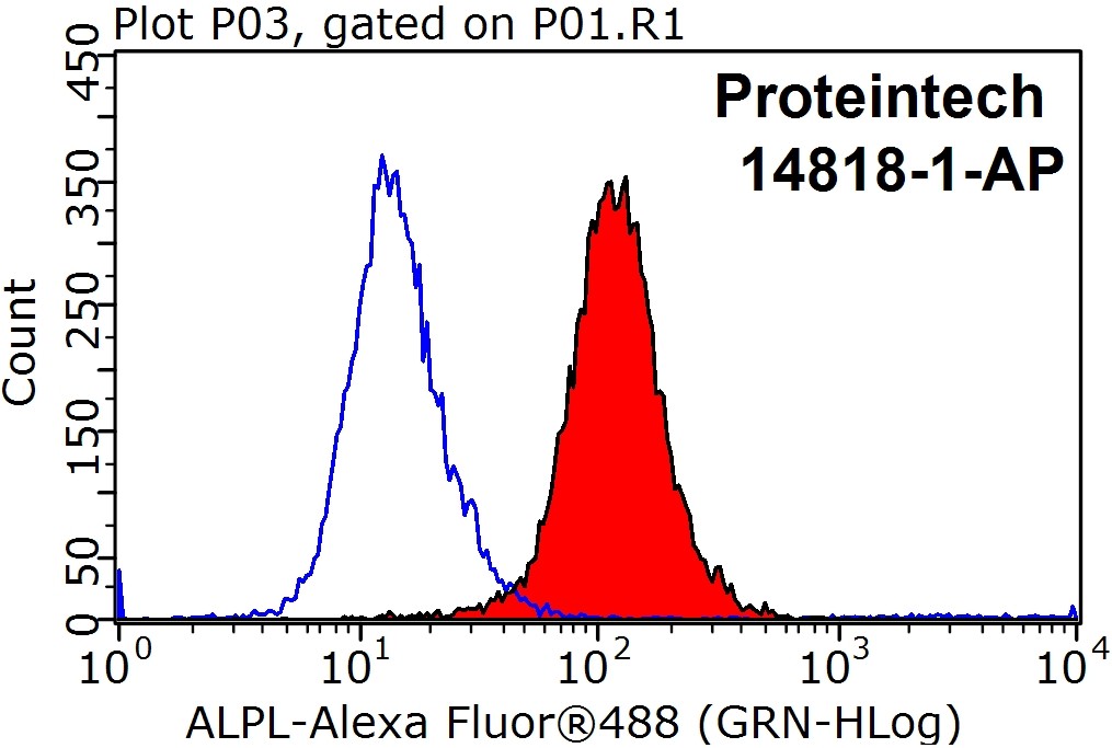 MICAL1 Polyclonal antibody