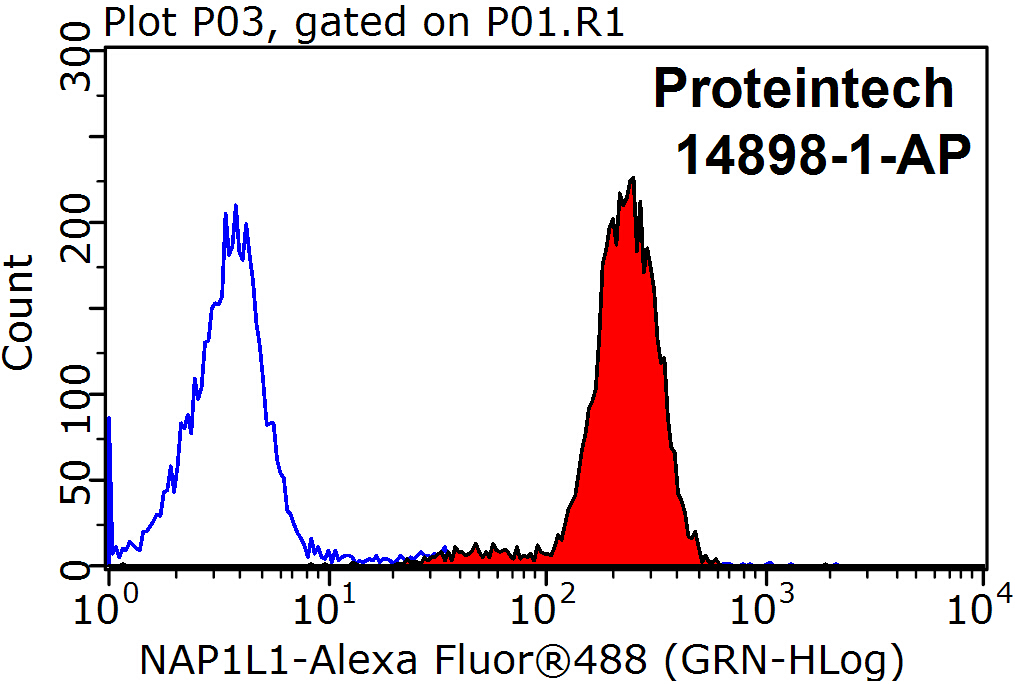 NAP1L1 Polyclonal antibody