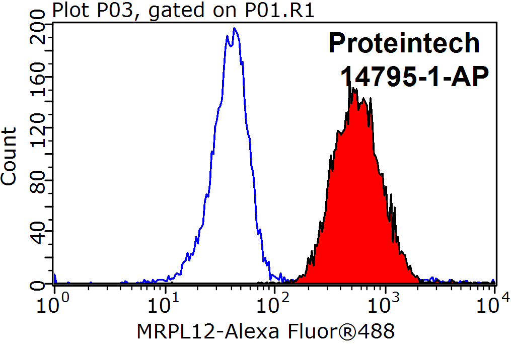MRPL12 Polyclonal antibody