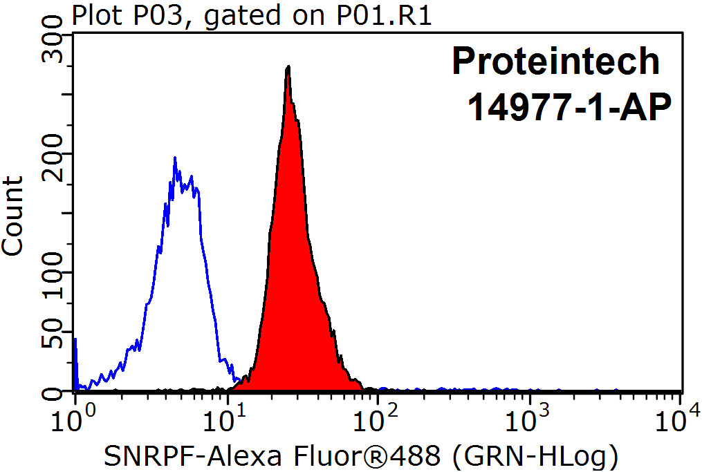 SNRPF Polyclonal antibody