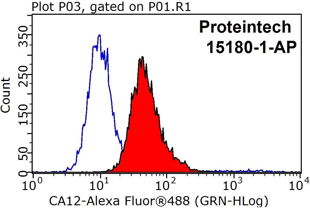 CA12 Polyclonal antibody