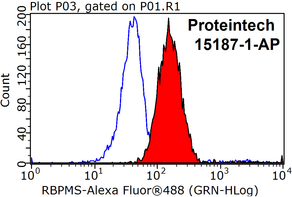 RBPMS Polyclonal antibody