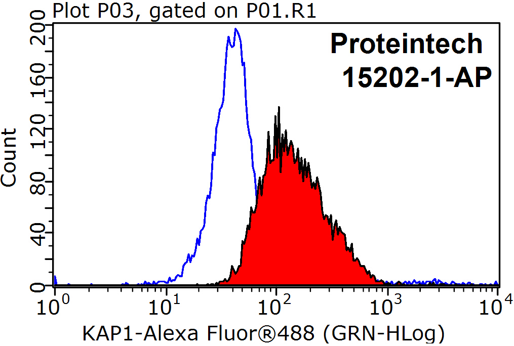 KAP1 Polyclonal antibody