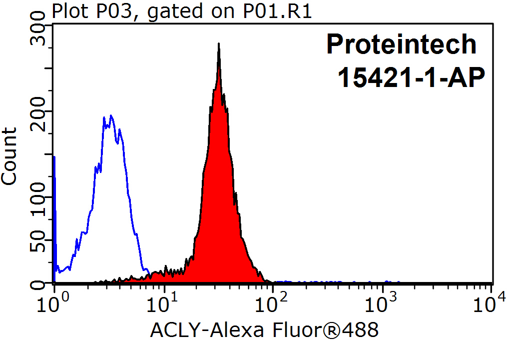 ACLY Polyclonal antibody