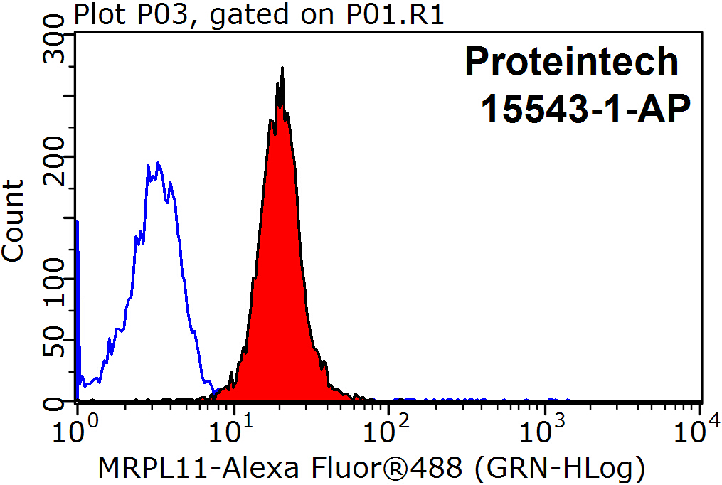 MRPL11 Polyclonal antibody