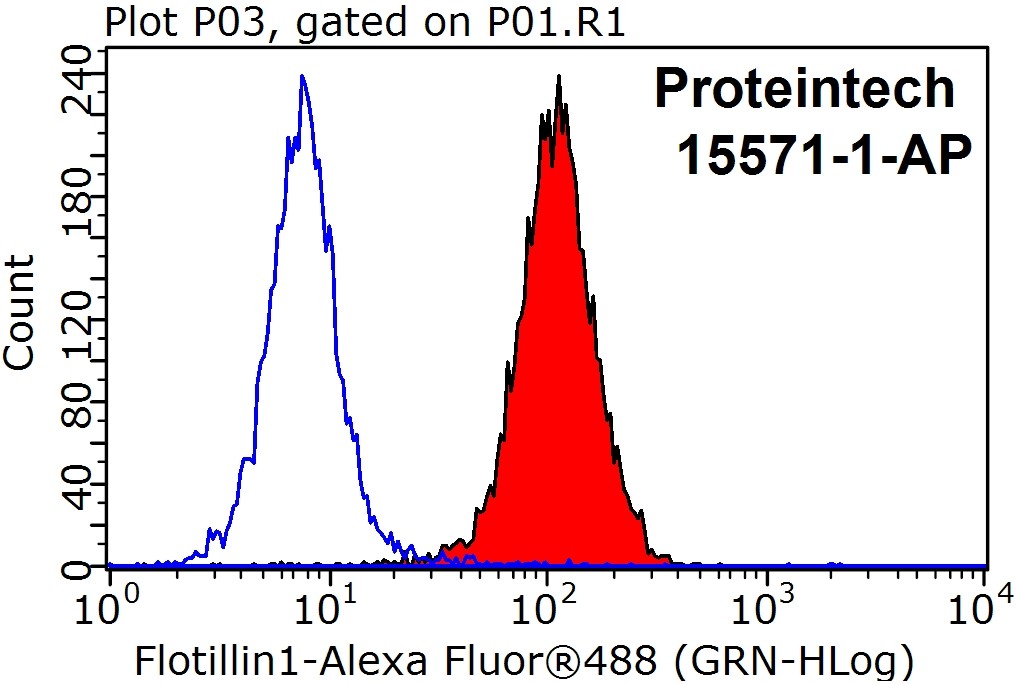 Flotillin 1 Polyclonal antibody