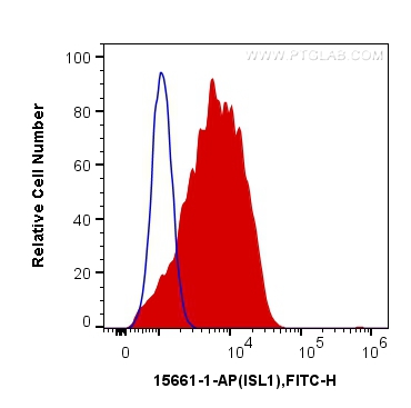 Islet 1 Polyclonal antibody