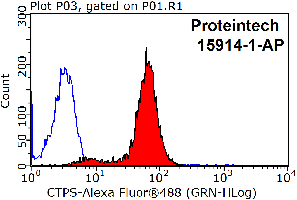 CTP synthase Polyclonal antibody