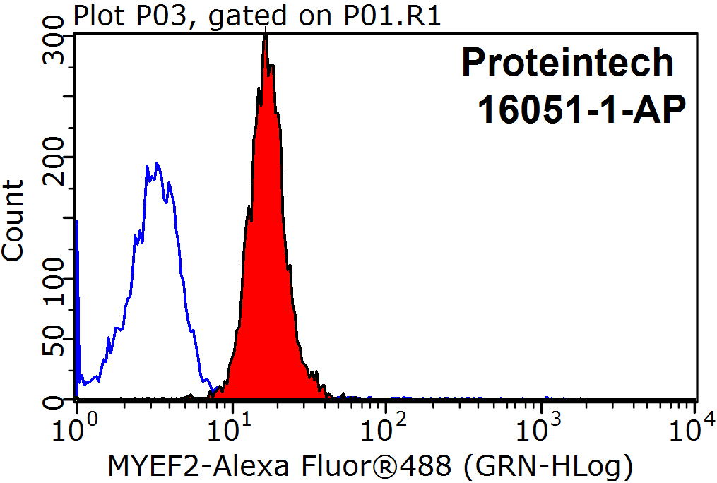 MYEF2 Polyclonal antibody