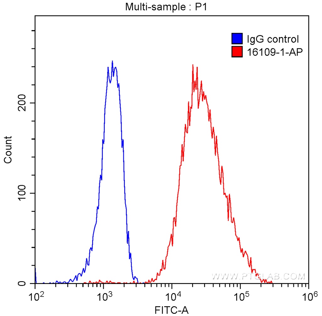 HLA-DPA1 Polyclonal antibody