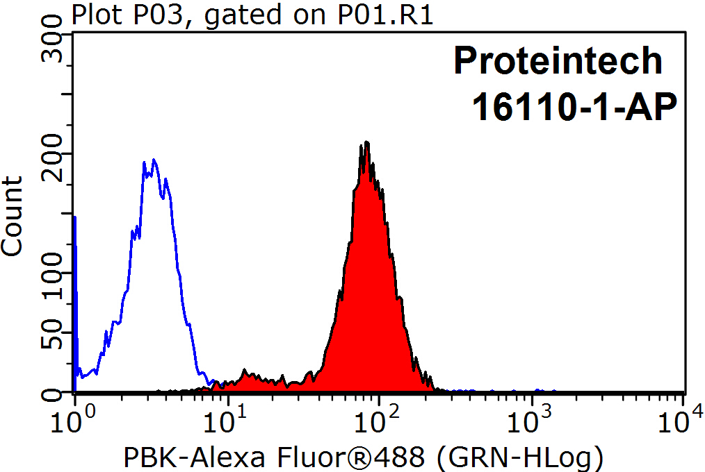 PBK Polyclonal antibody