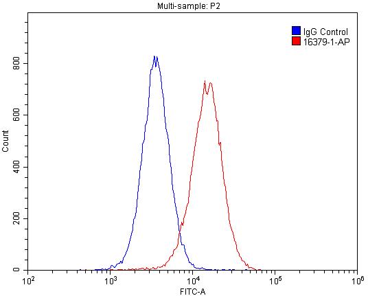 GSNOR,ADH5 Polyclonal antibody