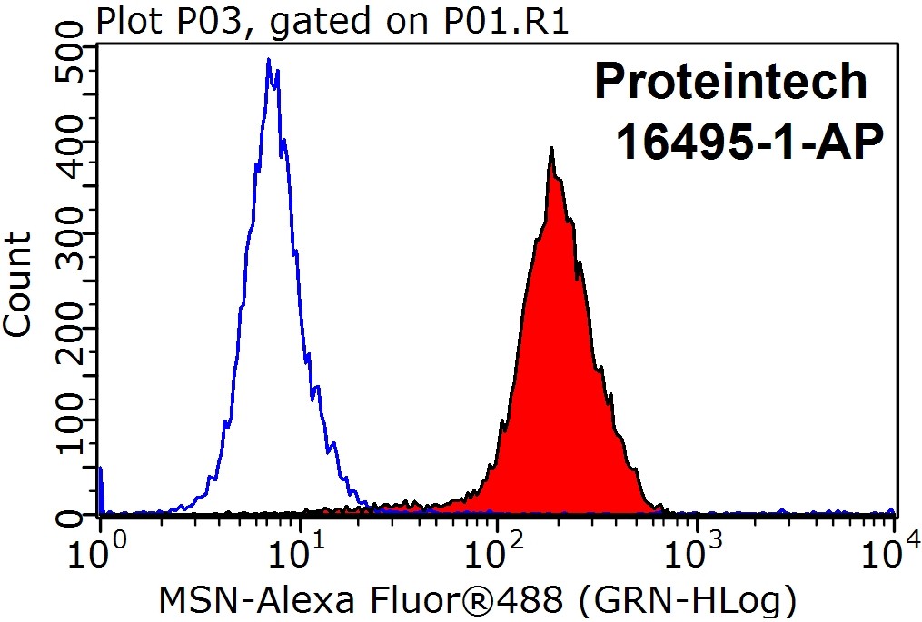 Moesin Polyclonal antibody