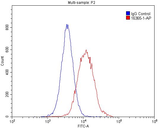 HNRNPU Polyclonal antibody