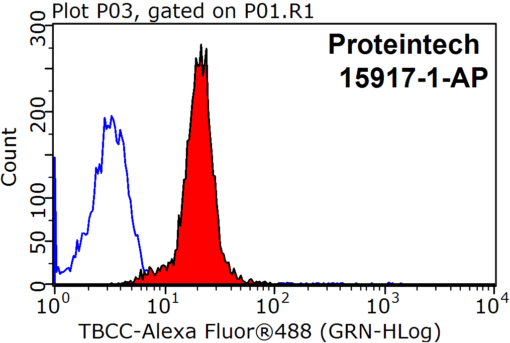 TBCC Polyclonal antibody