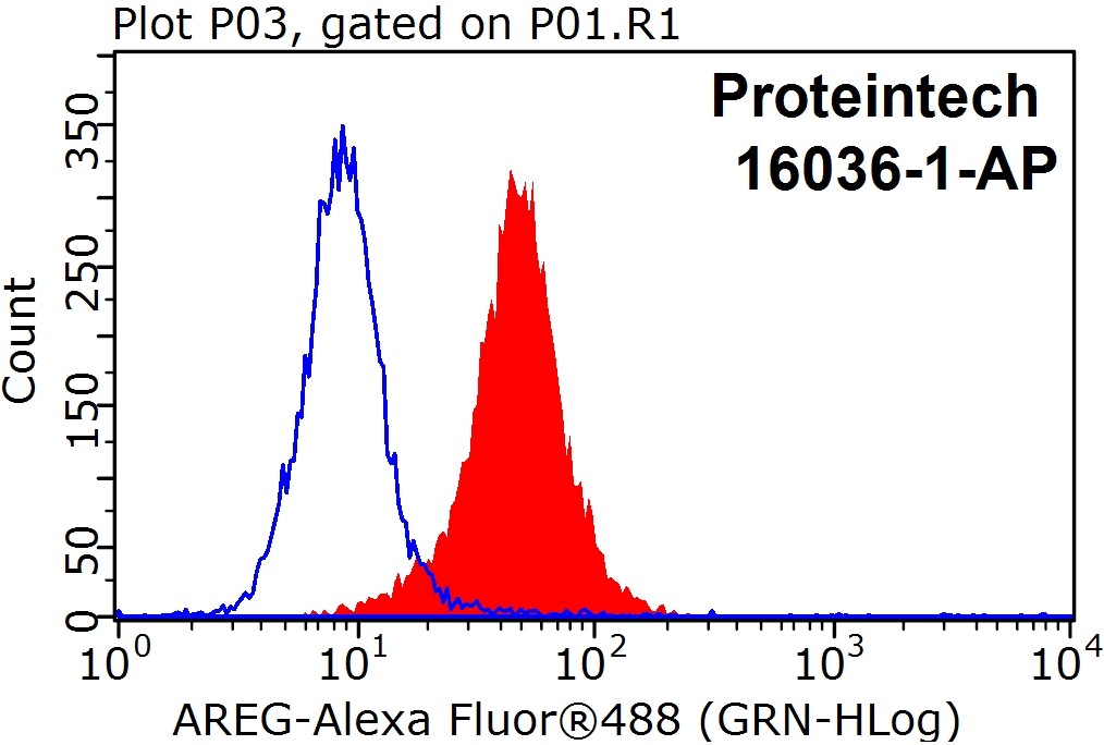 Amphiregulin Polyclonal antibody