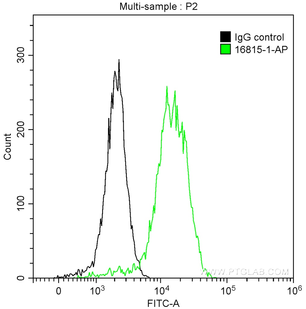 p130Cas Polyclonal antibody